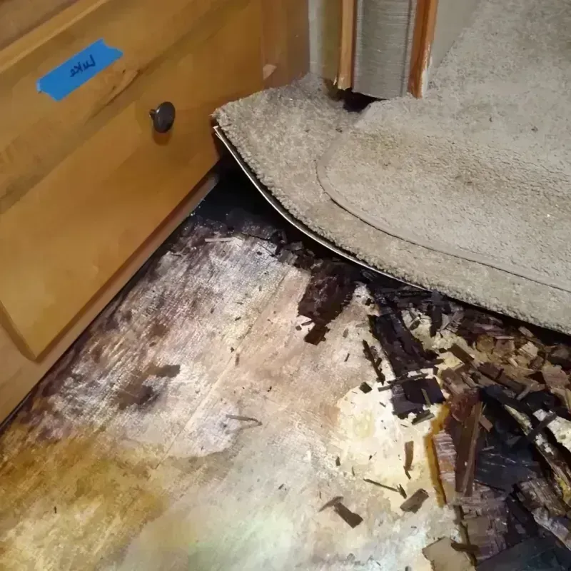 Best Wood Floor Water Damage Service in Lakewood, OH